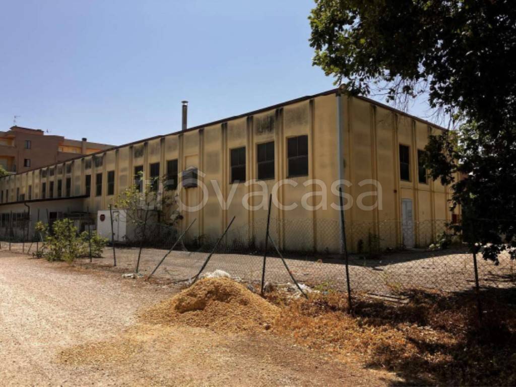 immagine annuncio 1 di 13