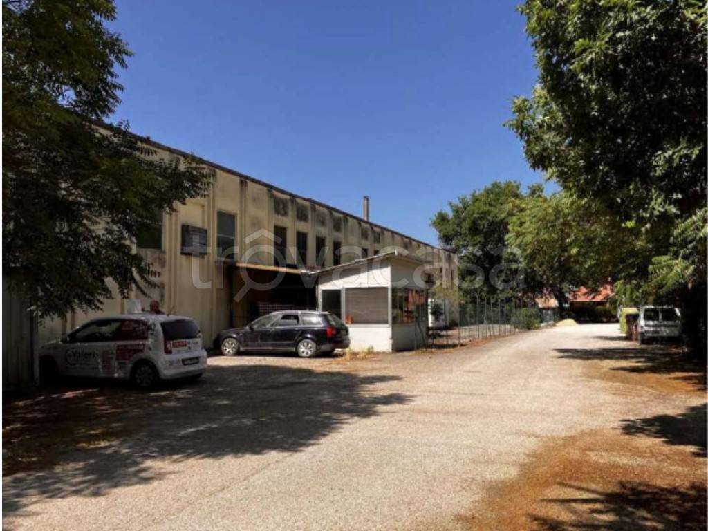 immagine annuncio 2 di 13