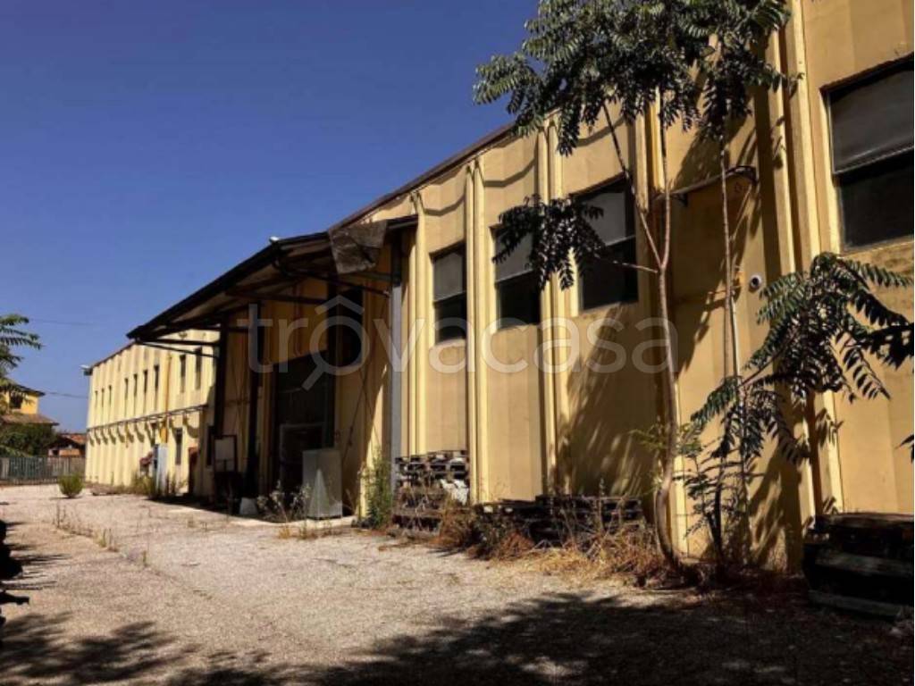 immagine annuncio 4 di 13