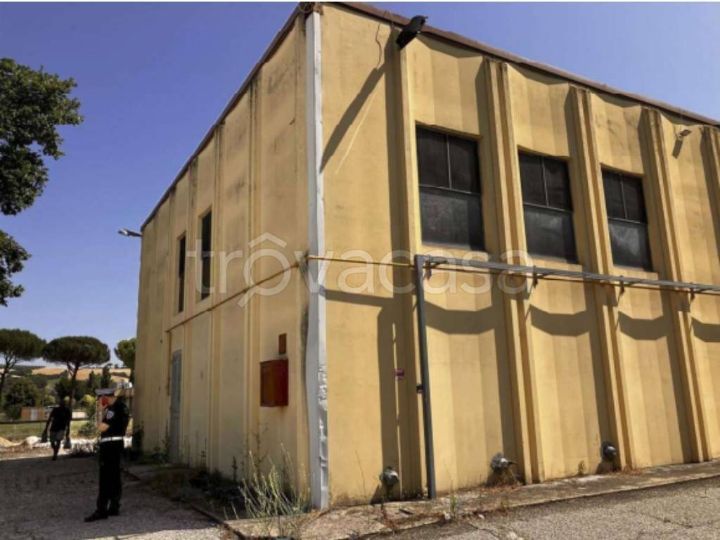 immagine annuncio 5 di 13