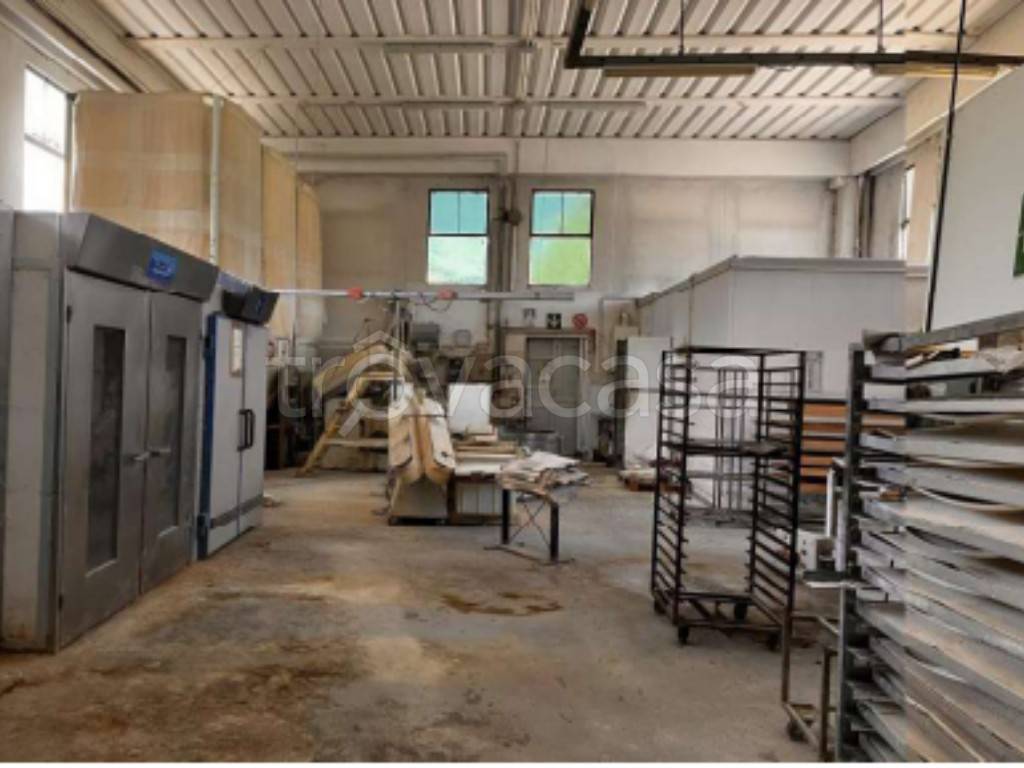 immagine annuncio 6 di 13