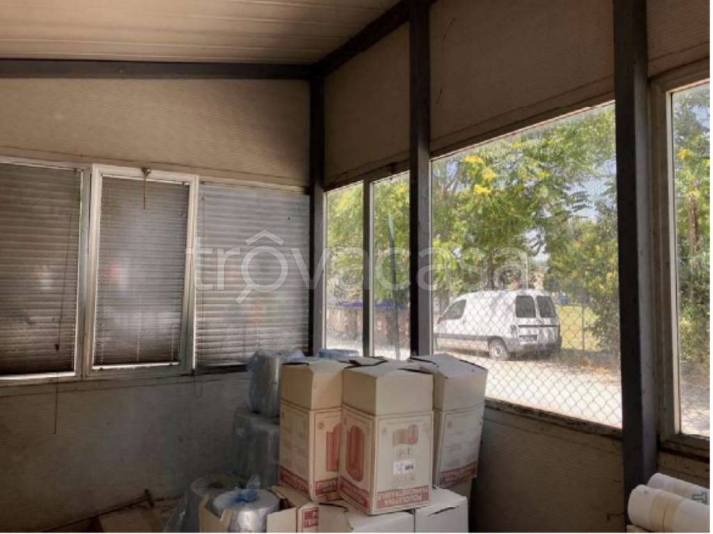 immagine annuncio 9 di 13