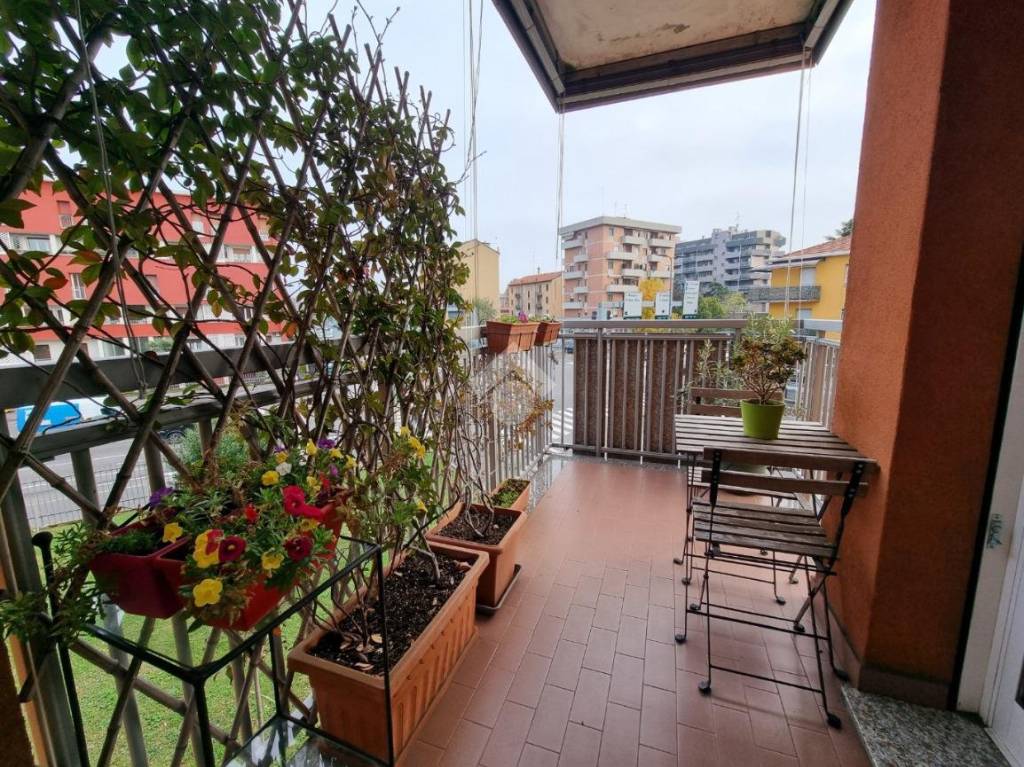 immagine annuncio 11 di 15