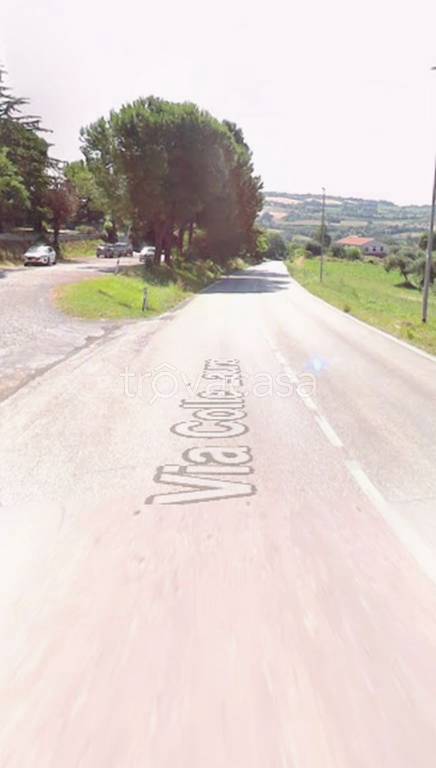 immagine annuncio 3 di 14