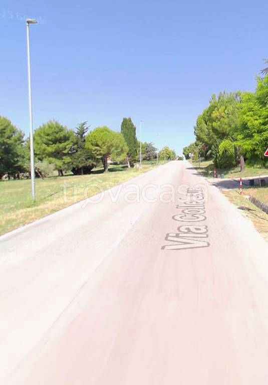 immagine annuncio 4 di 14