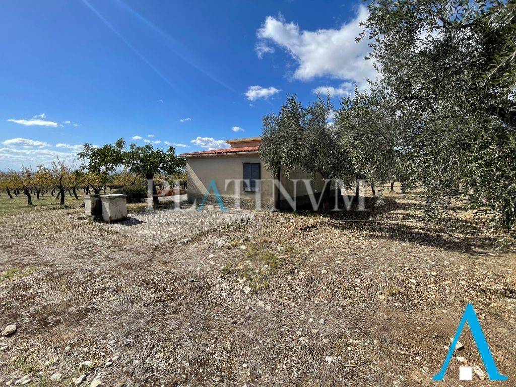 immagine annuncio 5 di 12