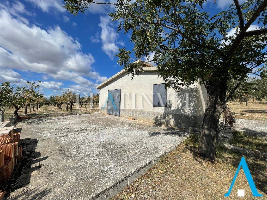 immagine annuncio 6 di 12