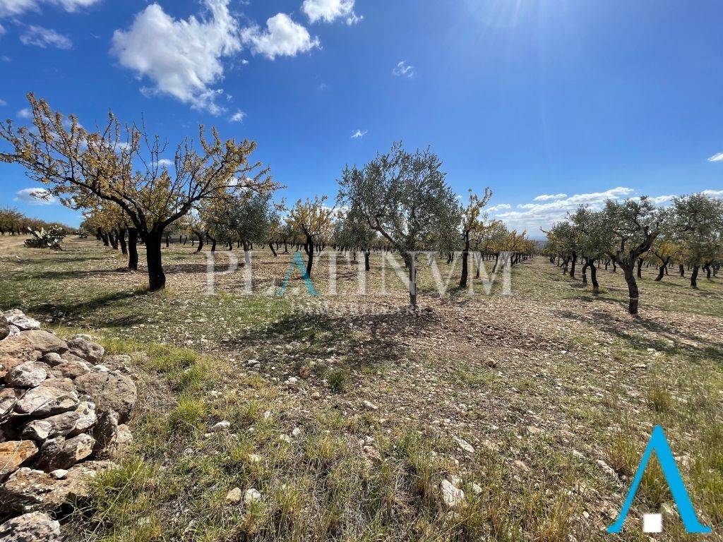 immagine annuncio 8 di 12