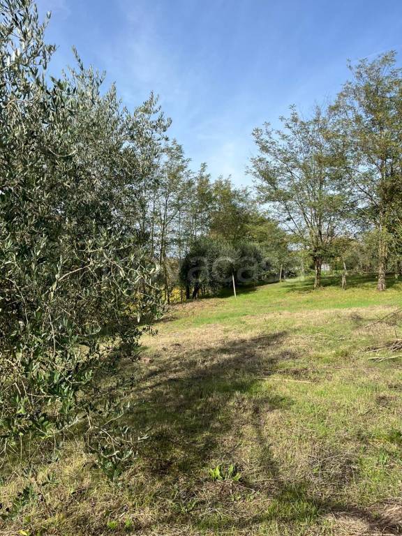 immagine annuncio 2 di 11