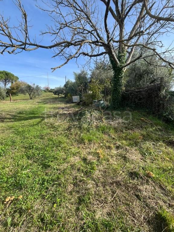 immagine annuncio 4 di 11