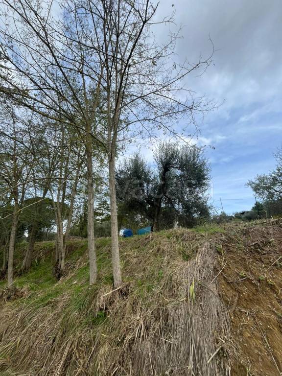 immagine annuncio 5 di 11