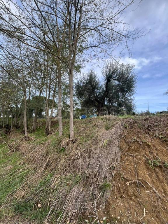 immagine annuncio 6 di 11