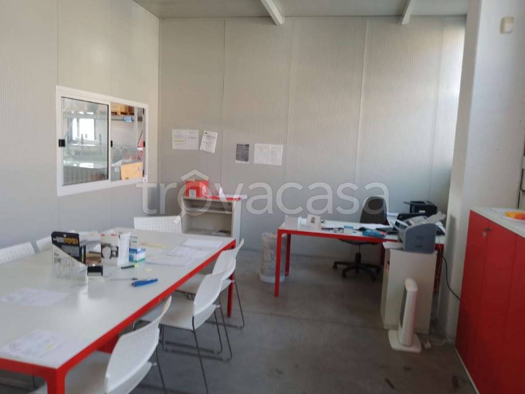 immagine annuncio 13 di 15