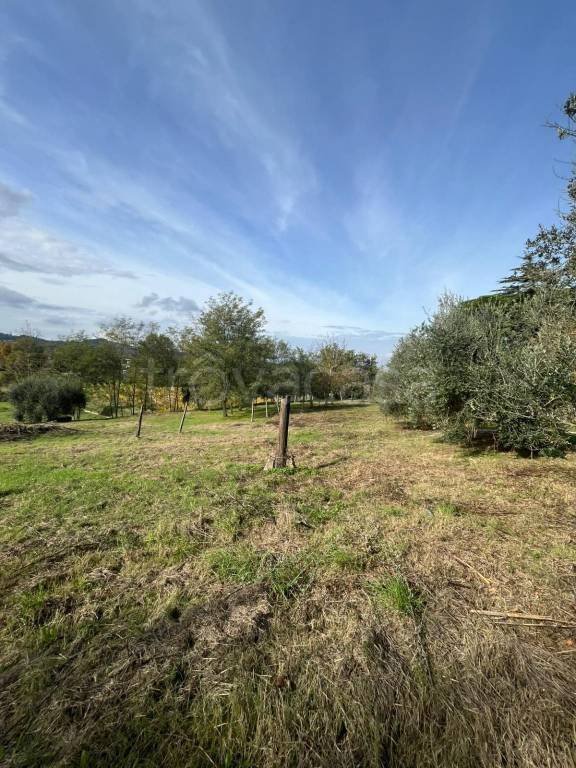 immagine annuncio 8 di 11