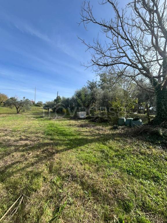 immagine annuncio 10 di 11