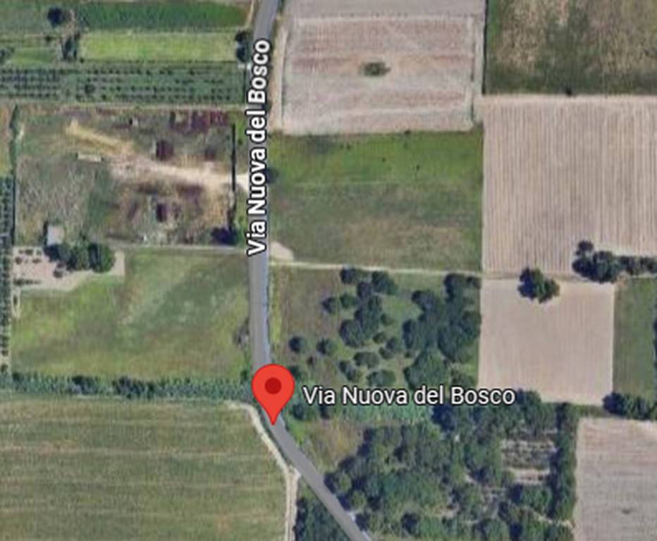 immagine annuncio 1 di 9