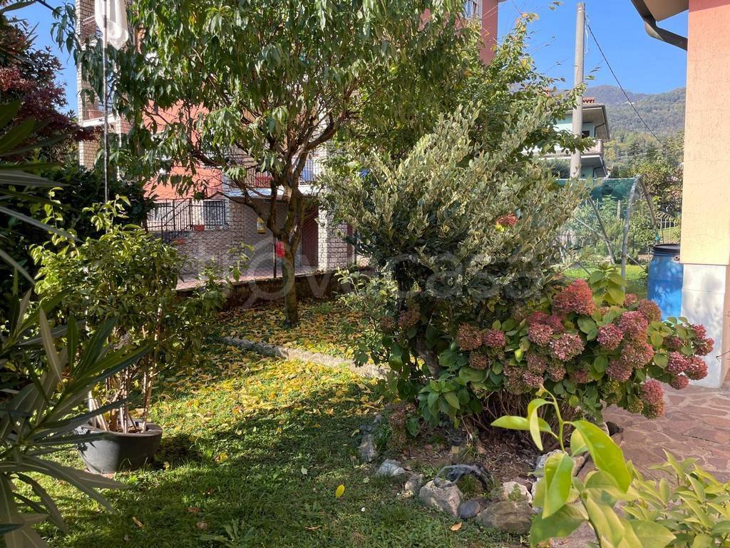 immagine annuncio 8 di 14