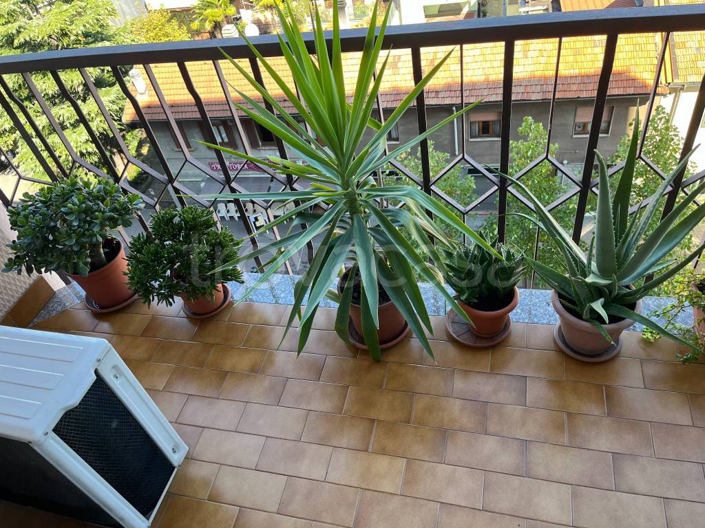 immagine annuncio 5 di 14