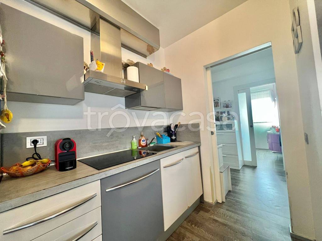 immagine annuncio 2 di 14