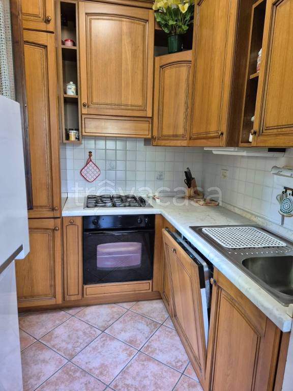 immagine annuncio 2 di 14