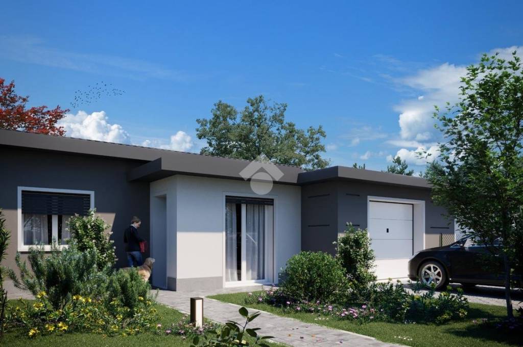 immagine annuncio 2 di 12