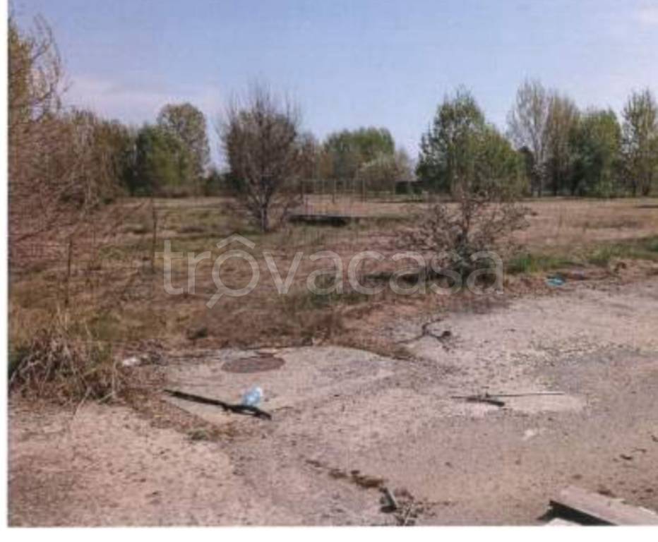 immagine annuncio 6 di 13