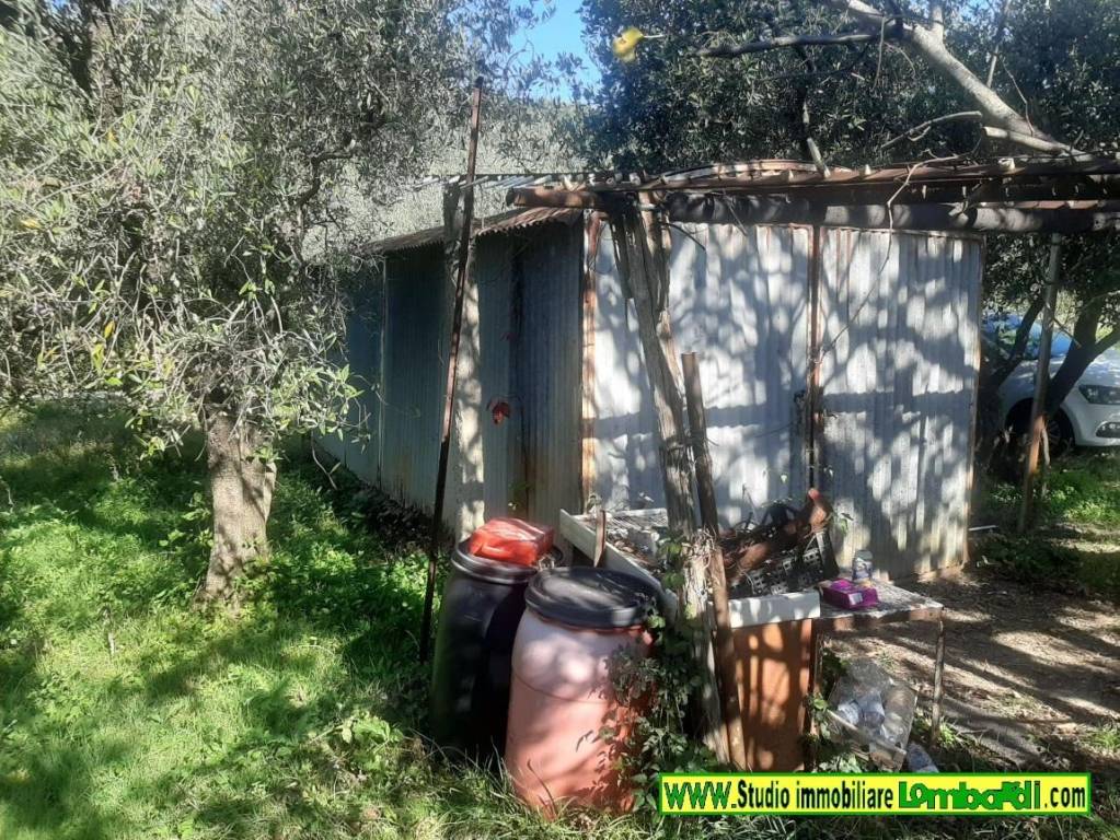 immagine annuncio 11 di 15