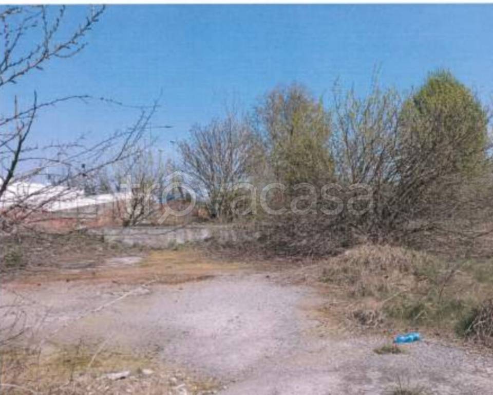 immagine annuncio 7 di 13