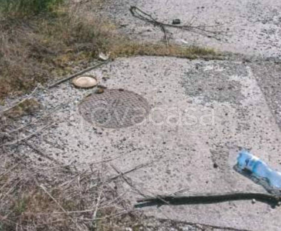 immagine annuncio 9 di 13