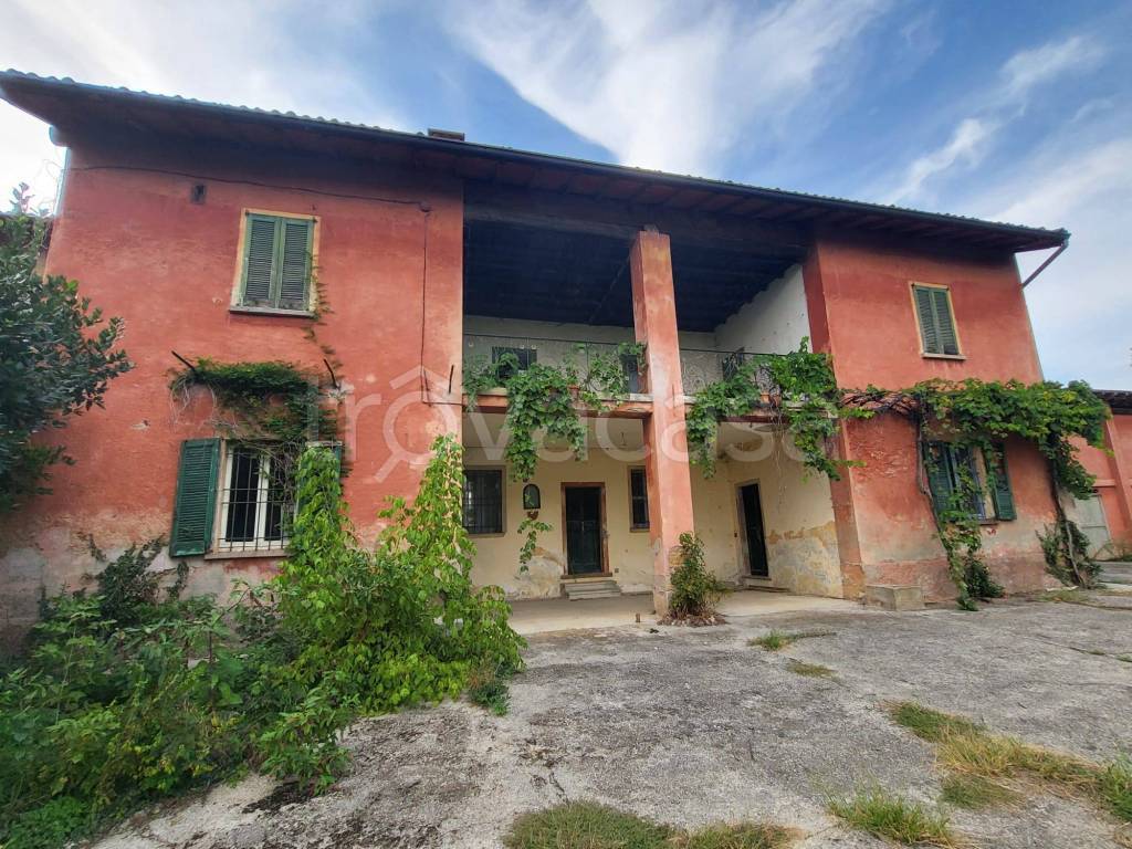 immagine annuncio 2 di 11