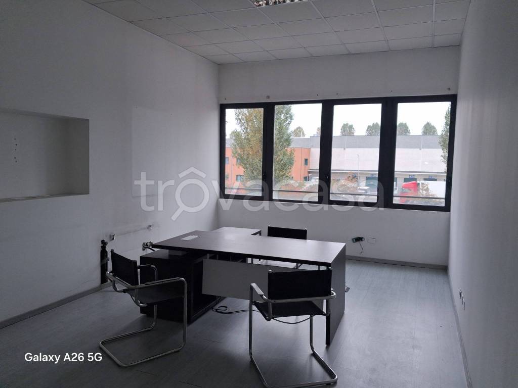 immagine annuncio 5 di 11