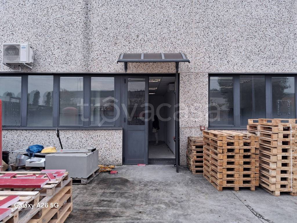 immagine annuncio 9 di 11