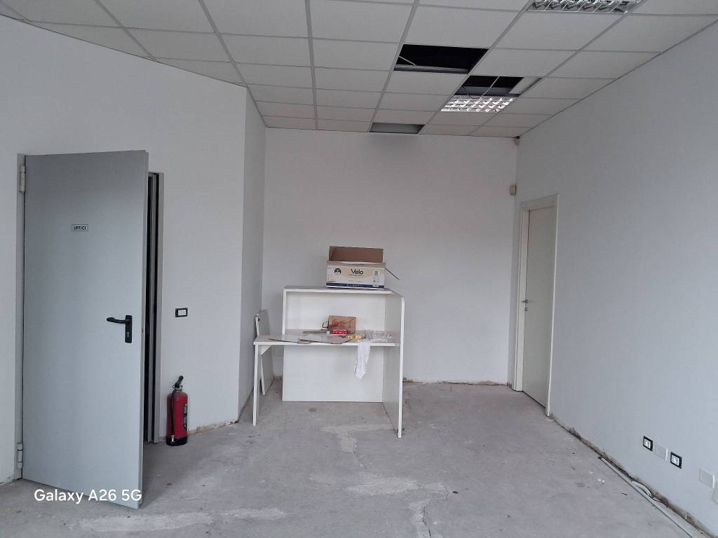 immagine annuncio 10 di 11