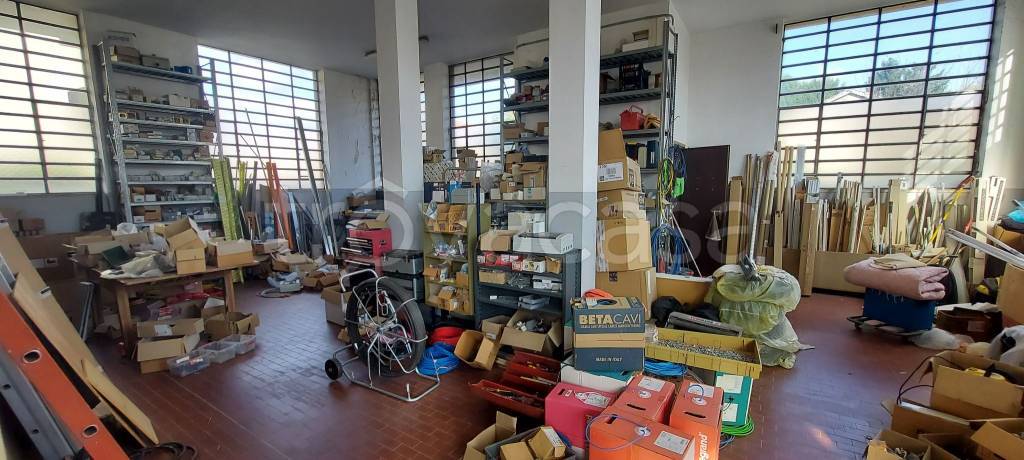 immagine annuncio 11 di 15