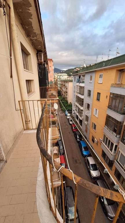 immagine annuncio 3 di 14