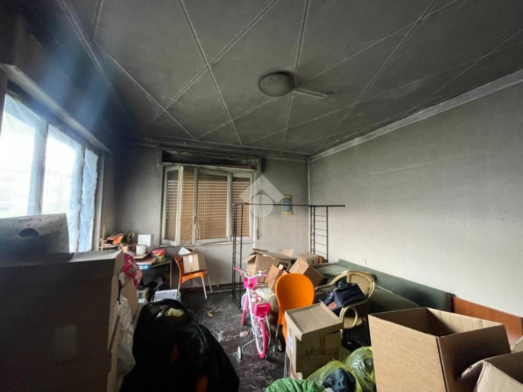 immagine annuncio 3 di 12