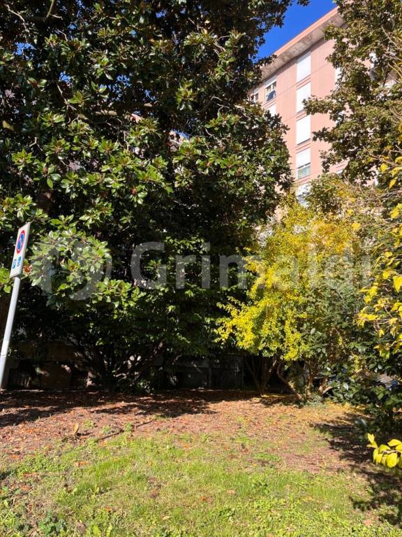 immagine annuncio 8 di 14