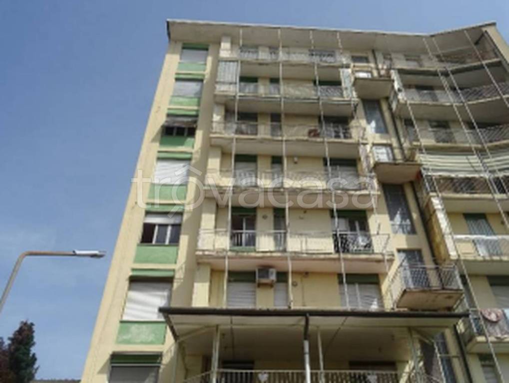 immagine annuncio 5 di 11