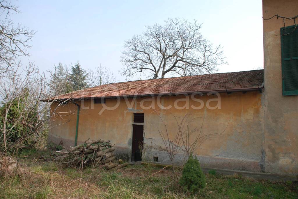 immagine annuncio 7 di 11