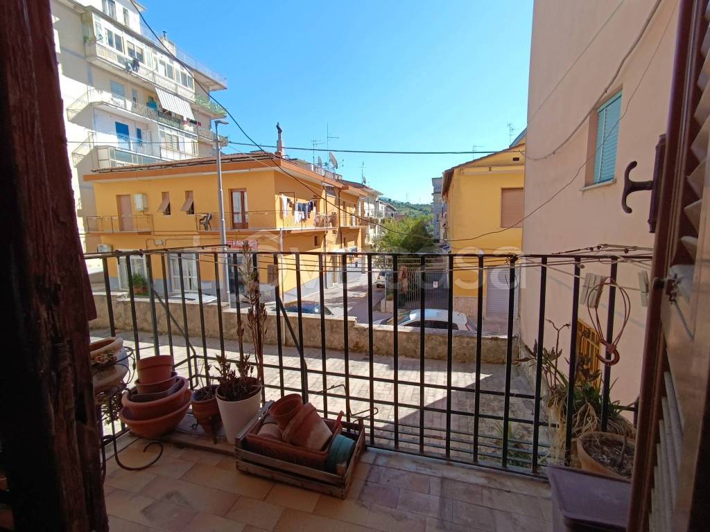 immagine annuncio 9 di 14