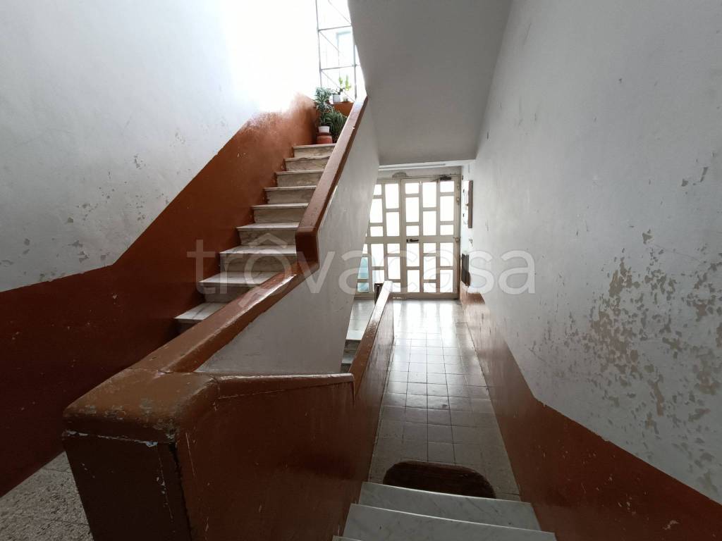 immagine annuncio 10 di 14