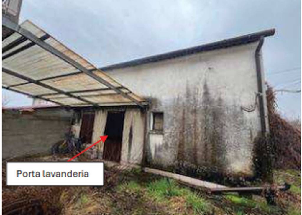 immagine annuncio 12 di 14