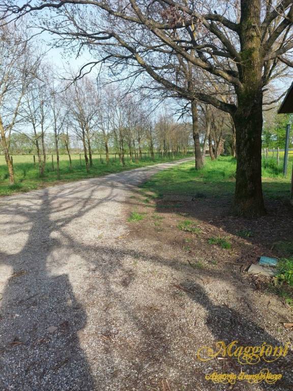 immagine annuncio 9 di 12