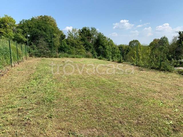 immagine annuncio 2 di 6