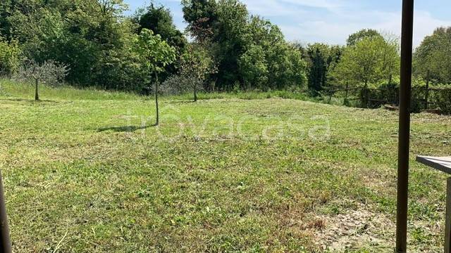 immagine annuncio 4 di 6