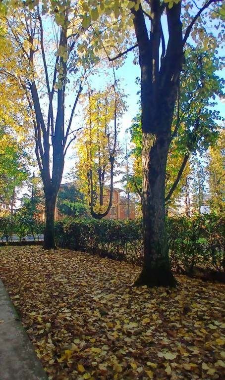 immagine annuncio 6 di 14