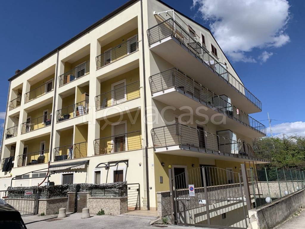 immagine annuncio 1 di 13