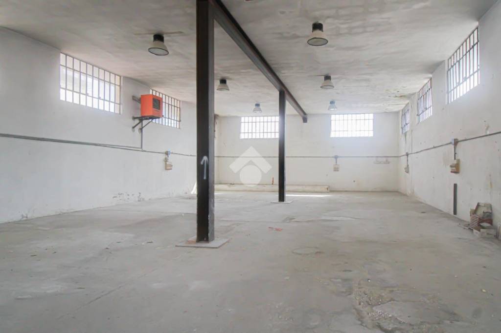 immagine annuncio 1 di 14