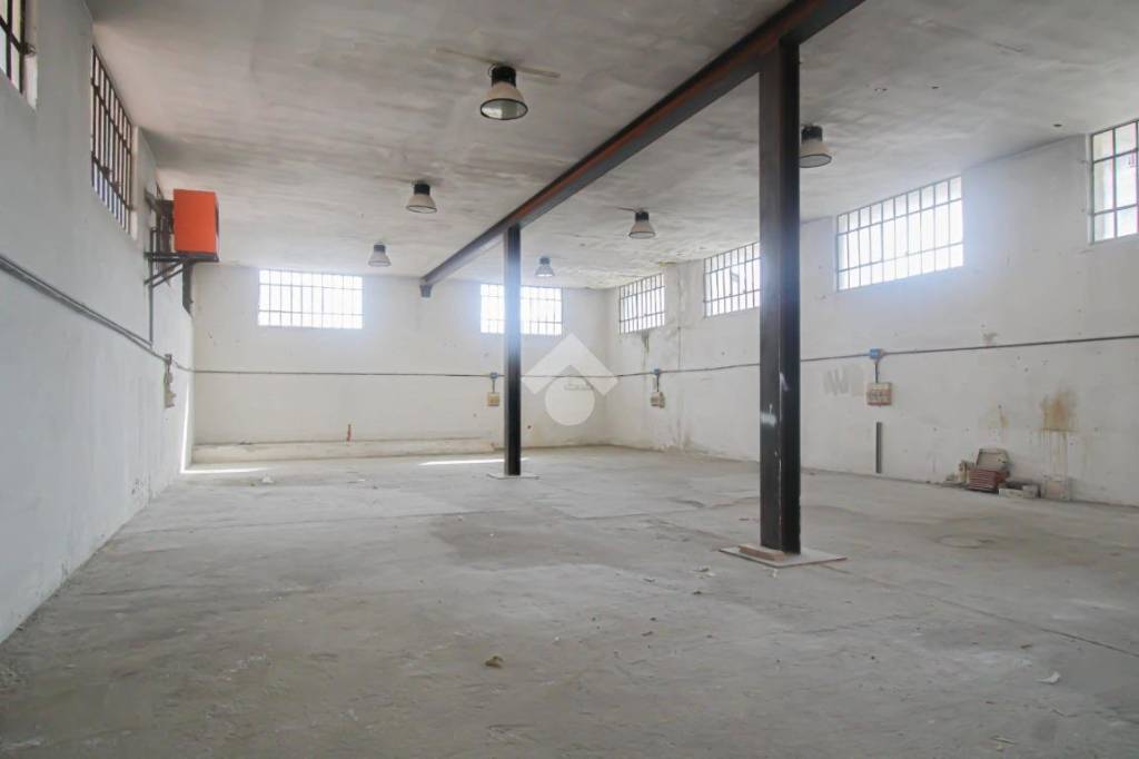 immagine annuncio 3 di 14