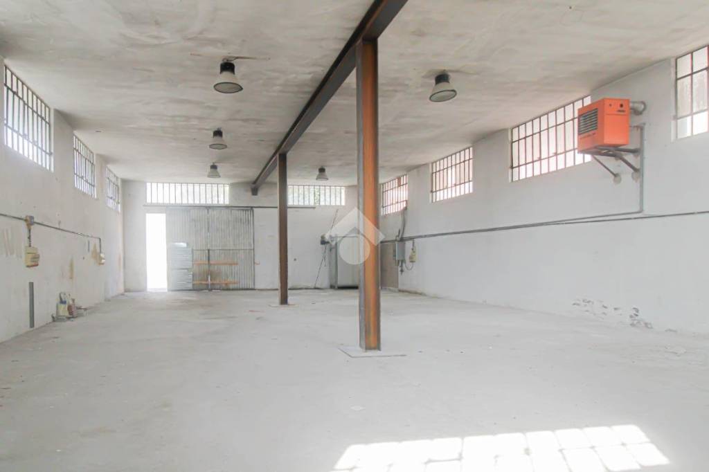 immagine annuncio 5 di 14